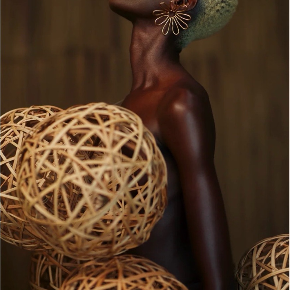 ISO-In search of Khoi Ella earrings.